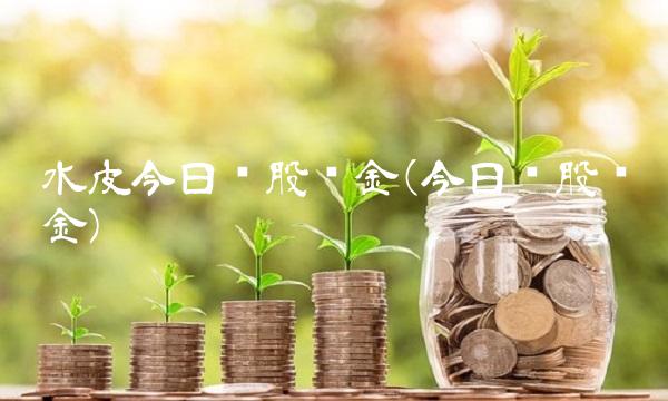 水皮今日谈股论金(今日谈股论金)
