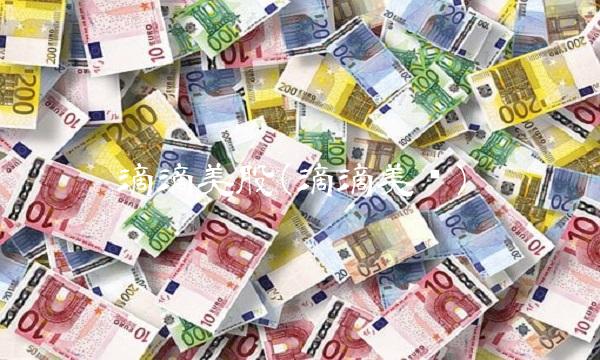 滴滴美股(滴滴美团)