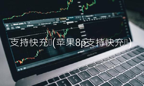 支持快充吗(苹果8p支持快充吗)