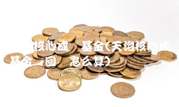 天治核心成长基金(天治核心成长基金赎回费怎么算)