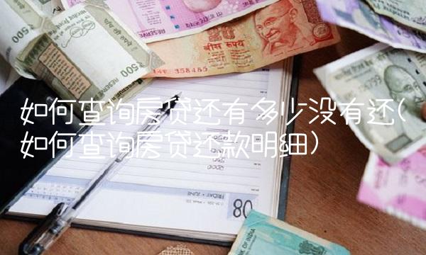 如何查询房贷还有多少没有还(如何查询房贷还款明细)