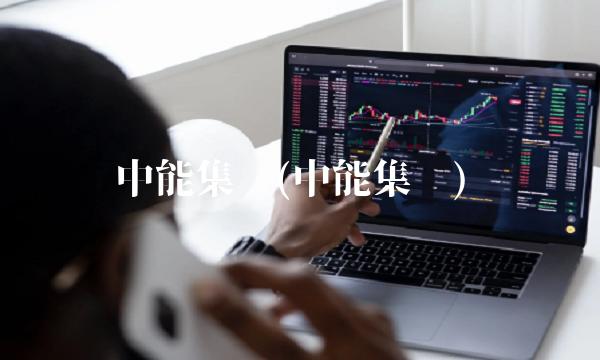 中能集团(中能集团)