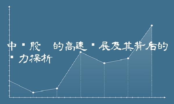 中环股份的高速发展及其背后的动力探析