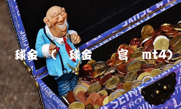 环球金汇(环球金汇网官网mt4)