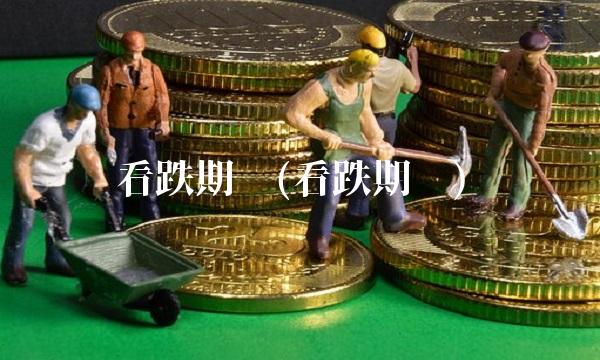 看跌期权(看跌期权)(1)