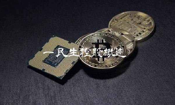 一、民生控股概述