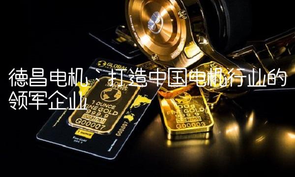德昌电机：打造中国电机行业的领军企业
