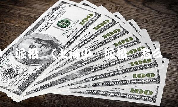 少薮派投资(上海少薮派投资怎么样)