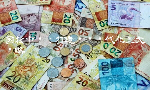 国投中鲁：打造农业现代化三大战略