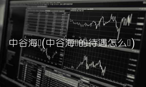 中谷海运(中谷海运的待遇怎么样)