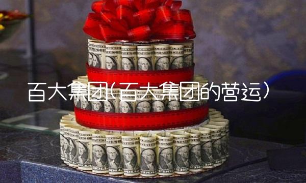 百大集团(百大集团的营运)(1)