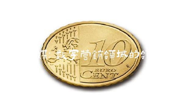 赛迪传媒：数字营销领域的领军者