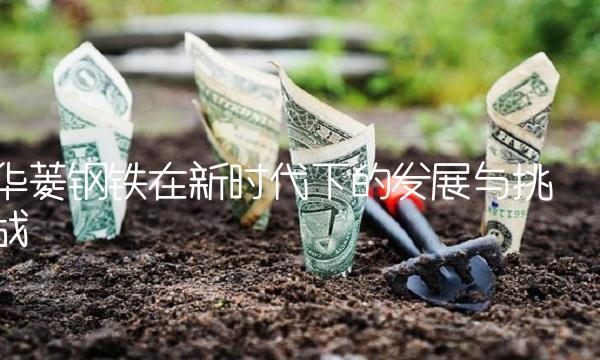 华菱钢铁在新时代下的发展与挑战