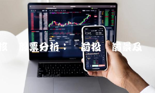 核电股票分析：当前投资前景及风险