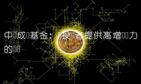 中邮成长基金：为投资者提供高增长潜力的选择