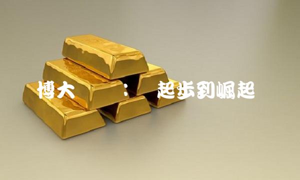 博大药业：从起步到崛起