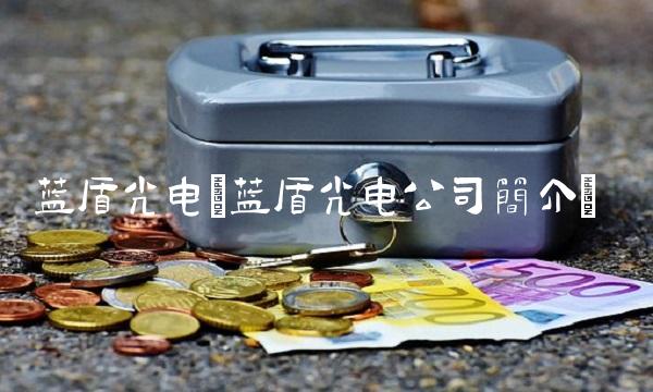 蓝盾光电(蓝盾光电公司简介)