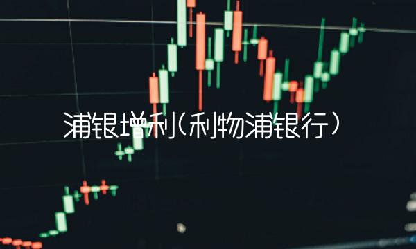 浦银增利(利物浦银行)