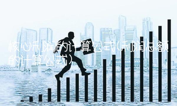核心利润的计算公式(利润总额的计算公式)