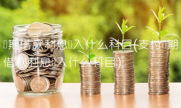长期借款利息计入什么科目(支付长期借款利息计入什么科目)
