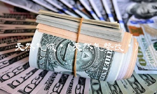 天然气喊单(天然气整改单)