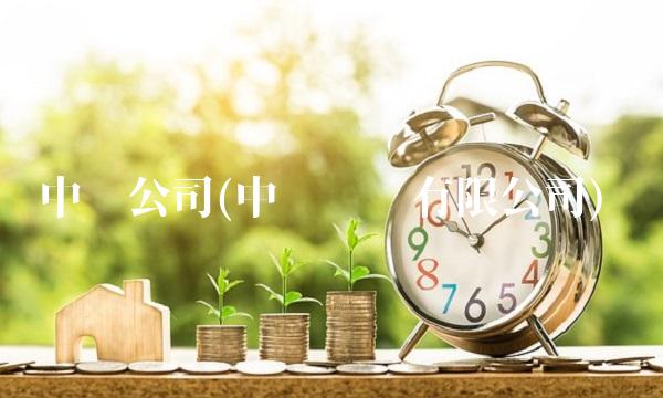 中铝公司(中铝铝业有限公司)