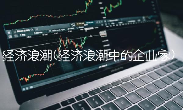 经济浪潮(经济浪潮中的企业家)