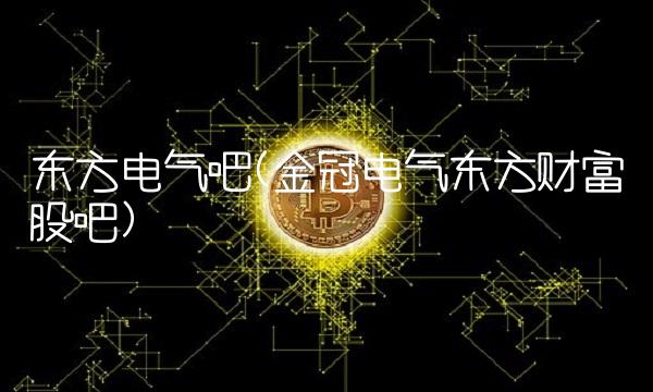 东方电气吧(金冠电气东方财富股吧)