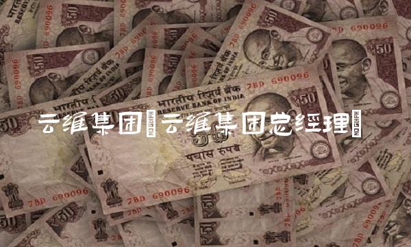 云维集团(云维集团总经理)(1)