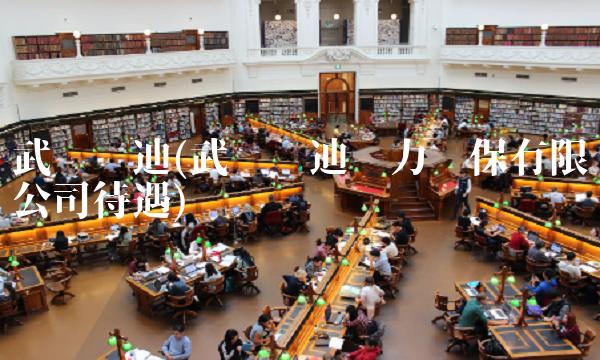 武汉凯迪(武汉凯迪电力环保有限公司待遇)