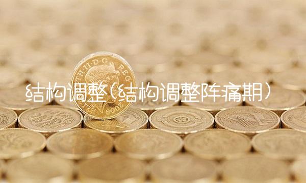 结构调整(结构调整阵痛期)