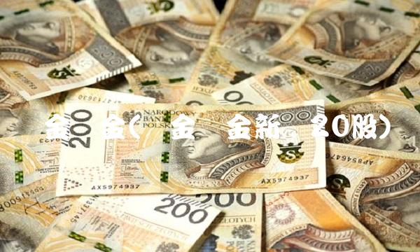 证金汇金(证金汇金新进20股)