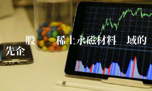 顺钠股份——稀土永磁材料领域的领先企业