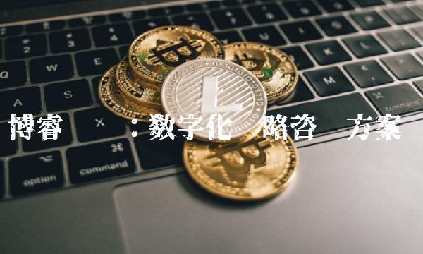 博睿联创：数字化战略咨询方案