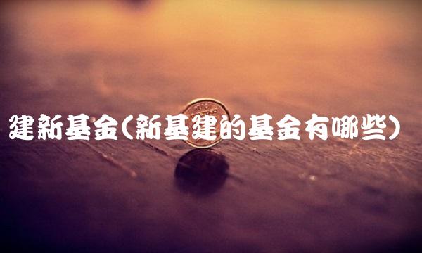 建新基金(新基建的基金有哪些)