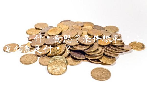 指数是什么意思？条件概率、熵与互信息是什么？