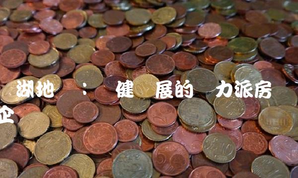 龙湖地产：稳健发展的实力派房企