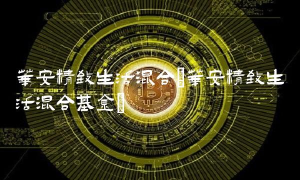 华安精致生活混合(华安精致生活混合基金)