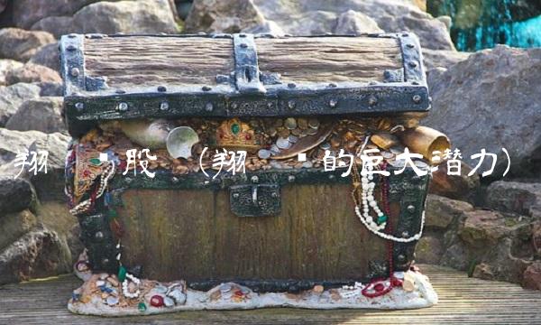 翔丰华股吧(翔丰华的巨大潜力)