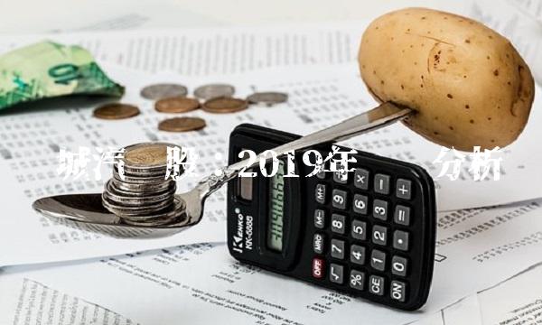 长城汽车股：2019年业绩分析