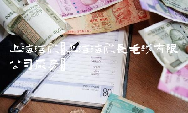 上海海欣(上海海欣长毛绒有限公司厂房)