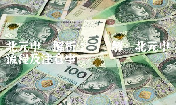 北元申购解析：详细解读北元申购流程及注意事项