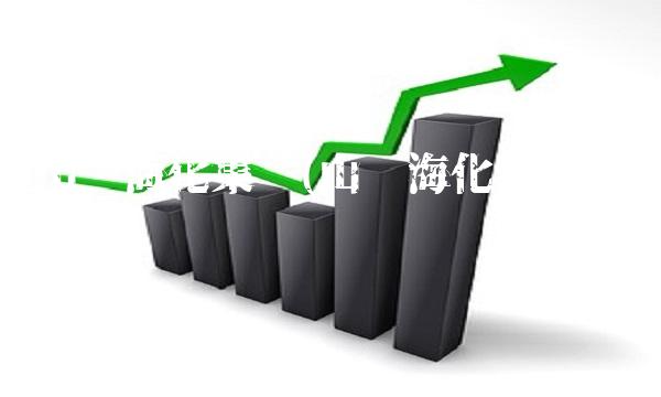 山东海化集团(山东海化集团考试内容)