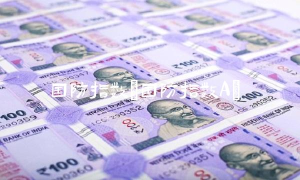 国防指数(国防指数A)