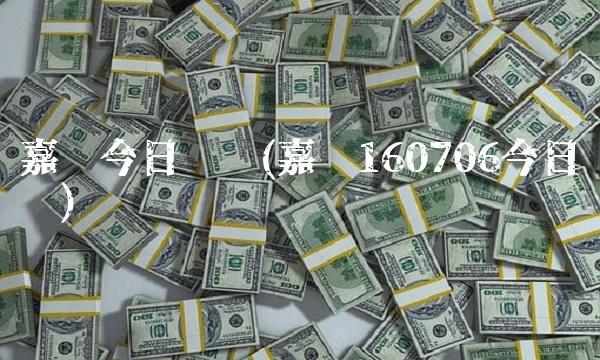 嘉实今日净值(嘉实160706今日净值)