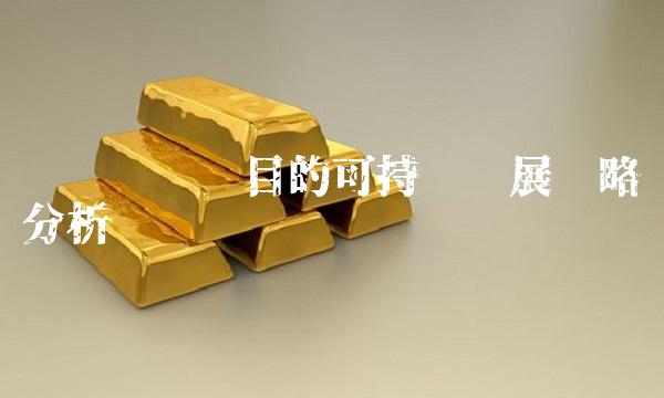 华润锦华项目的可持续发展战略分析