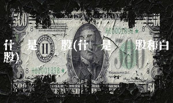 什么是蓝筹股(什么是蓝筹股和白马股)