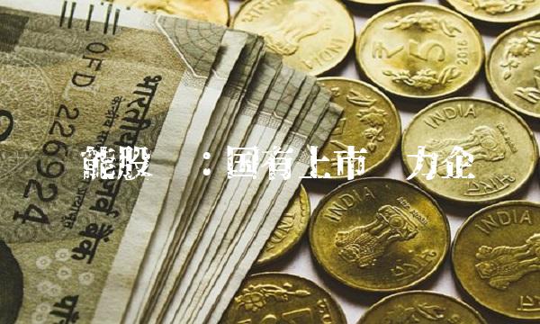 赣能股份：国有上市电力企业