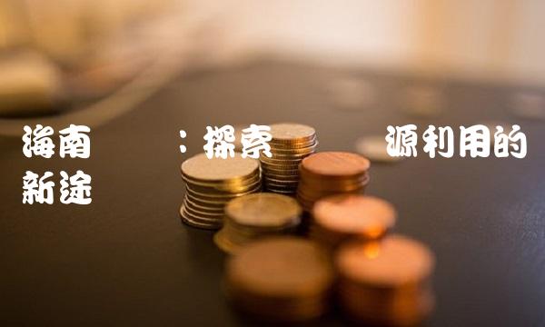 海南矿业：探索矿产资源利用的新途径