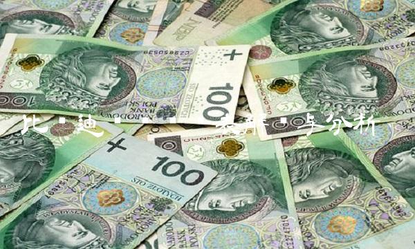 比亚迪资产负债表解读与分析